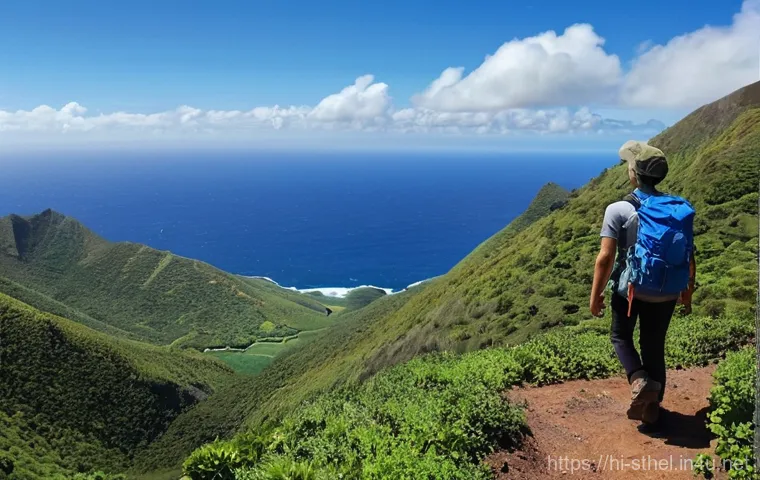 세인트헬레나 최적 여행 시기 - **Prompt 2: Historical Exploration at Longwood House**
"A picturesque and serene image of Longwo... 세인트헬레나 최적 여행 시기 - **Prompt 2: Historical Exploration at Longwood House**
"A picturesque and serene image of Longwo...
